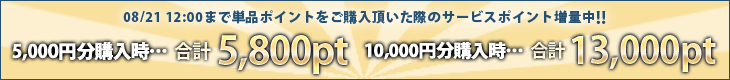 campaign