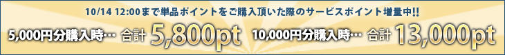 campaign